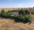 3014 Road P - Photo 21