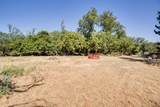 39673 County Rd 265 - Photo 45