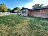 3708 Twisted Oak - Photo 49