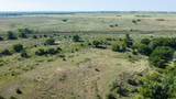 39666 County Road 197 - Photo 43
