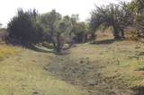  County Road 35 - Photo 15