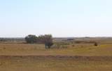  County Road 35 - Photo 24