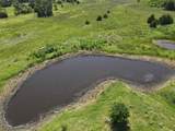 40 Acres North Of Nash - Photo 11