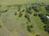 40 Acres North Of Nash - Photo 16