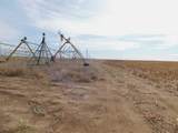 SW 1/4 13-6N-13 Texas County - Photo 11