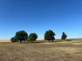 11614 Rupe - Photo 10