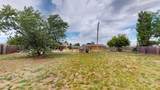 917 Dove St - Photo 23