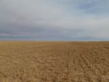 SW 1/4 13-6N-13 Texas County - Photo 1