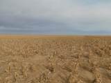 SW 1/4 13-6N-13 Texas County - Photo 2