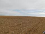 SW 1/4 13-6N-13 Texas County - Photo 4