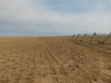 SW 1/4 13-6N-13 Texas County - Photo 6