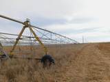 SW 1/4 13-6N-13 Texas County - Photo 8
