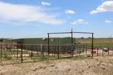 51024 County Rd 218 - Photo 30