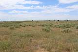 51024 County Rd 218 - Photo 31