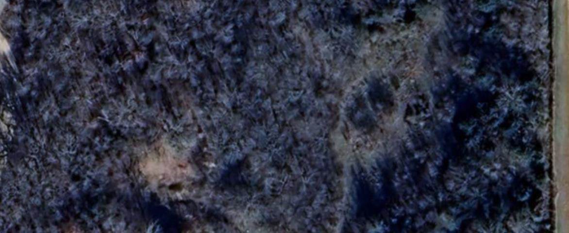 0 Sophia Loop - Photo 1