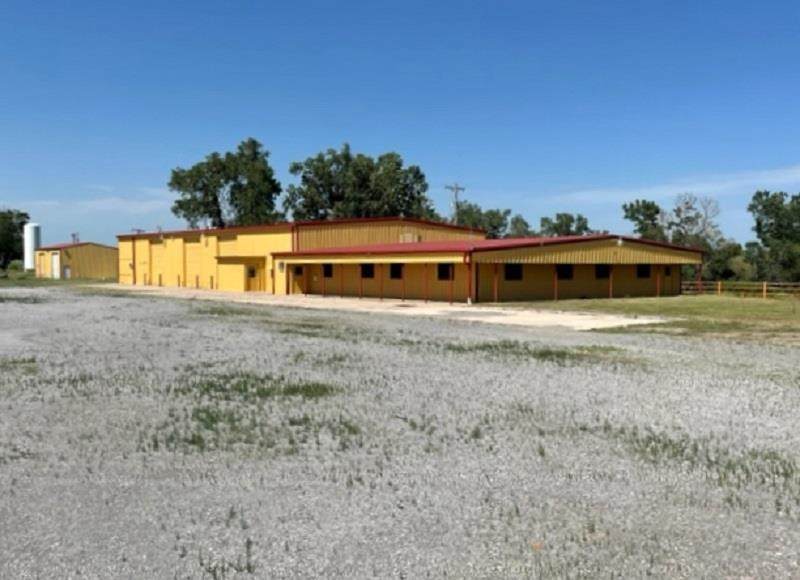 39682 County Road 196 - Photo 1