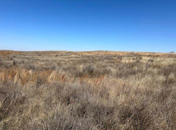 Cr 46 & N Cr 180 - Photo 1
