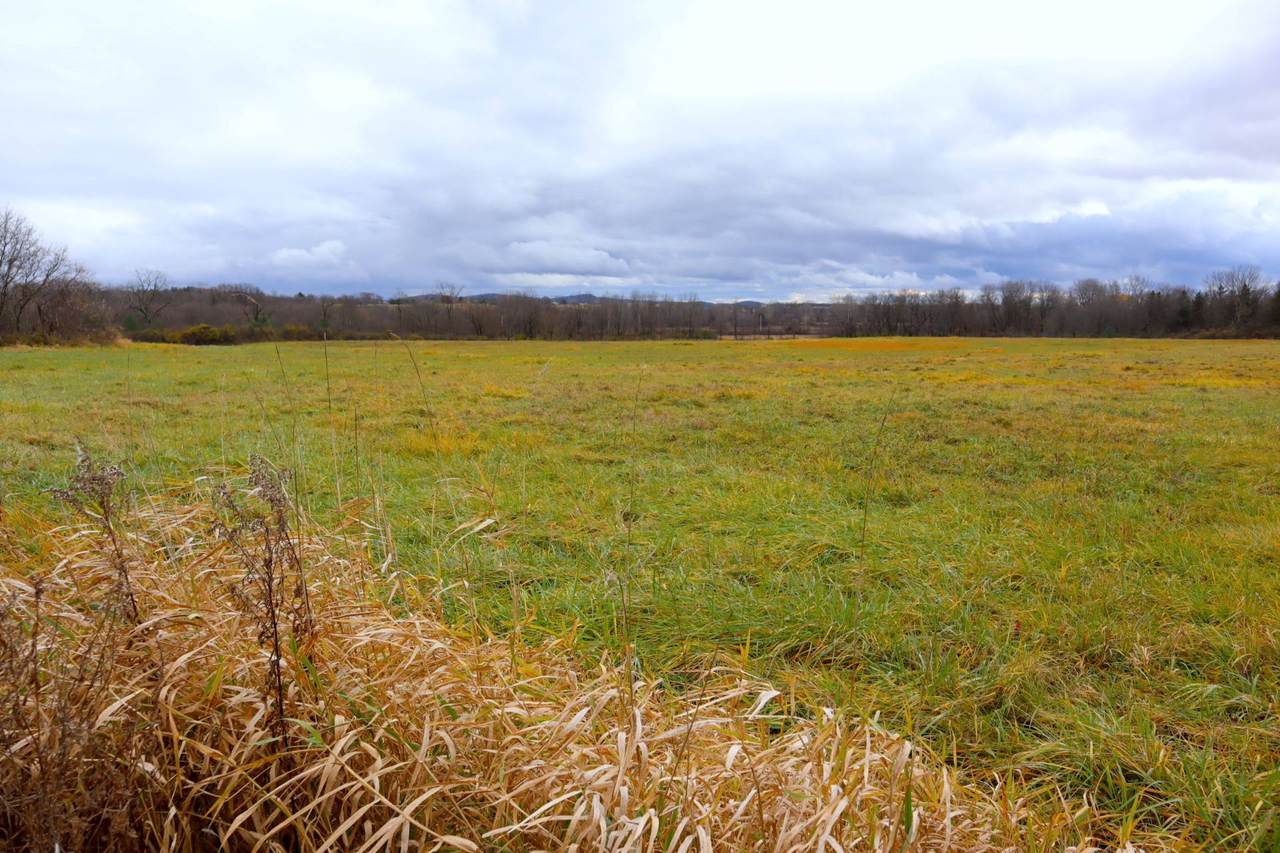 0 State Rt 196 - Photo 1