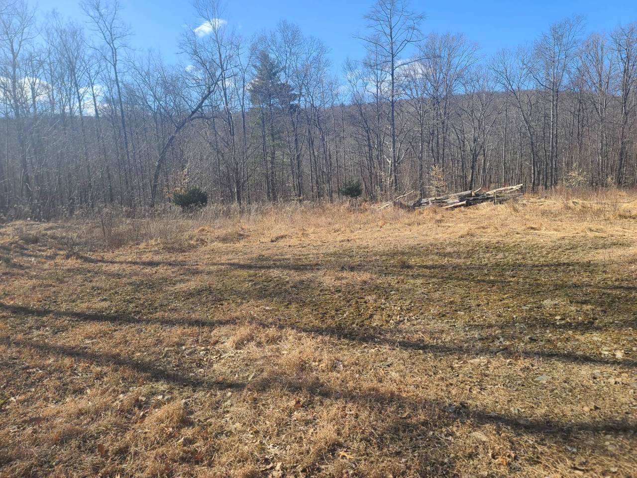 23 Kimberly Ct - Photo 1