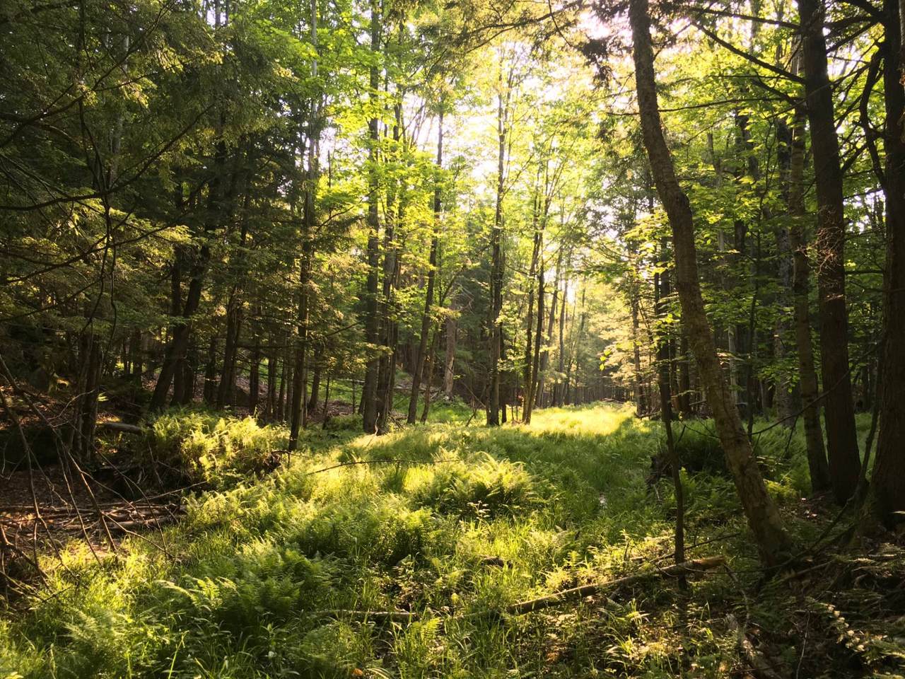 00 Sullivan Rd - Photo 1