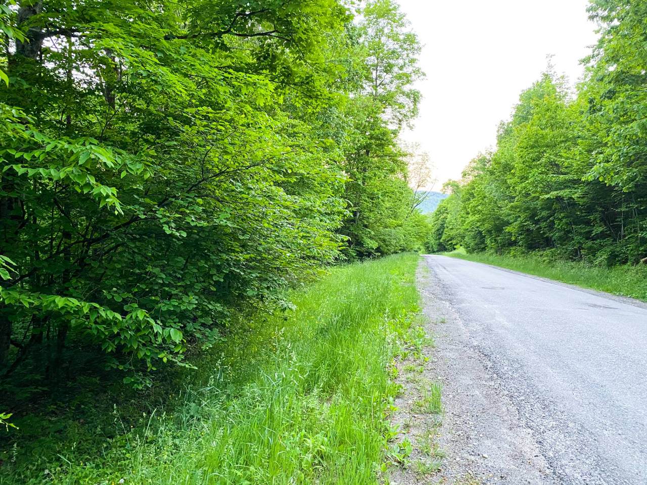 VL Alma Hill Rd - Photo 1