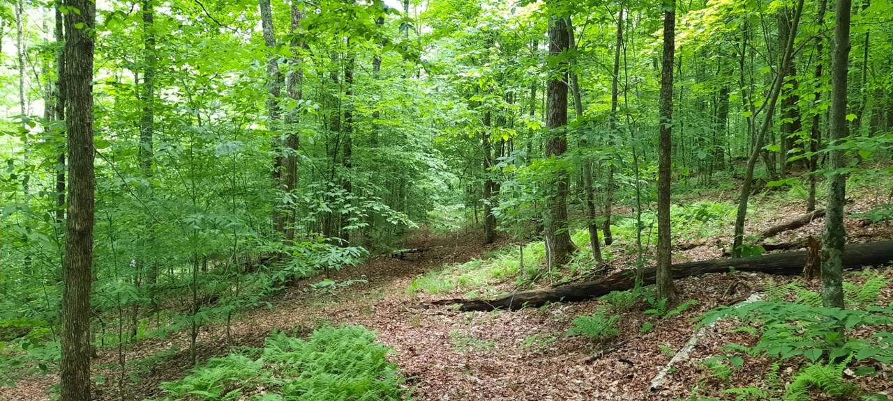 4835 Gregory Hollow Rd. - Photo 1