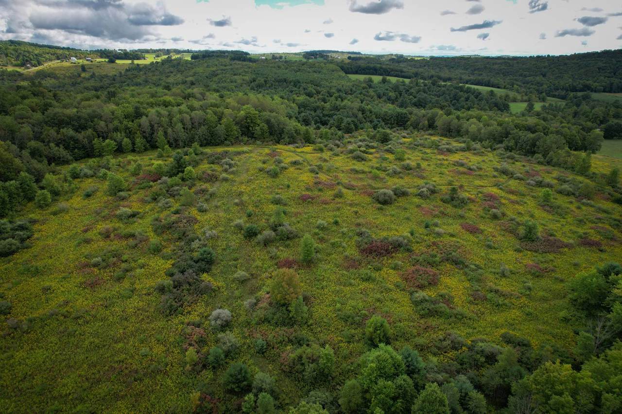 WP-001 Ellis Creek Rd - Photo 1