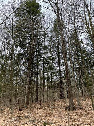 00 Potter Hill Rd - Photo 1