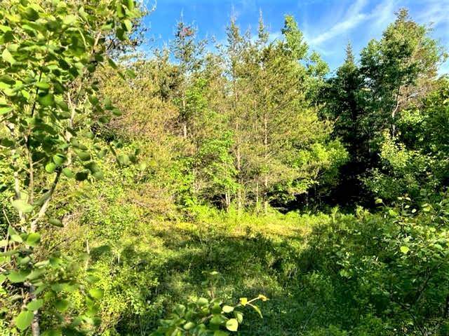 20 Acres Fuller Road - Photo 1