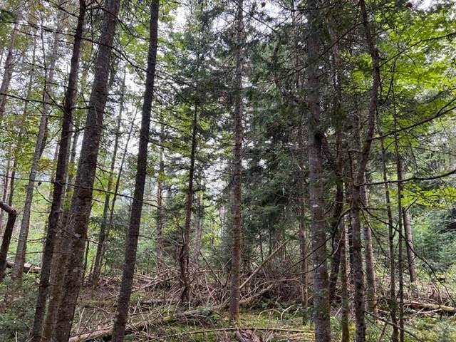 29 Acres French Road - Photo 1