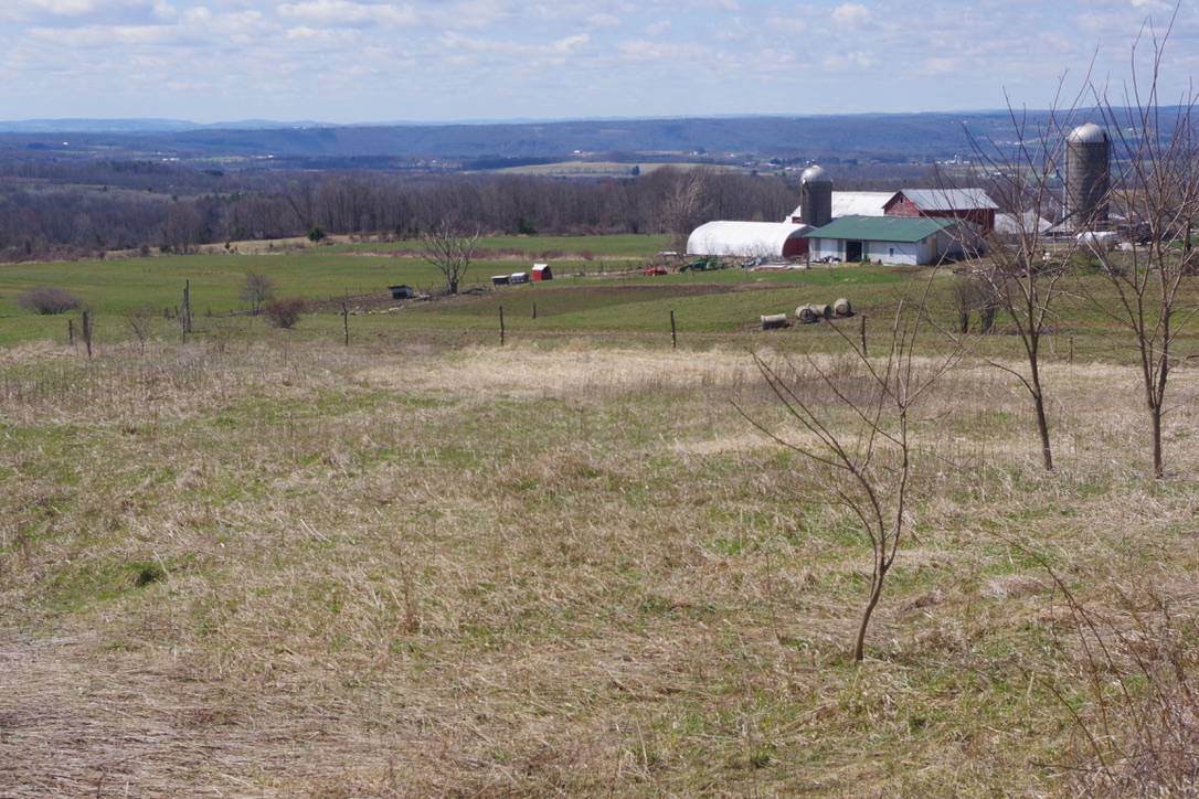 00 Reynolds Rd - Photo 1