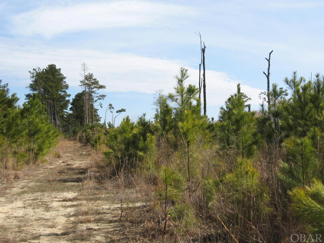 000 Caratoke Highway - Photo 1