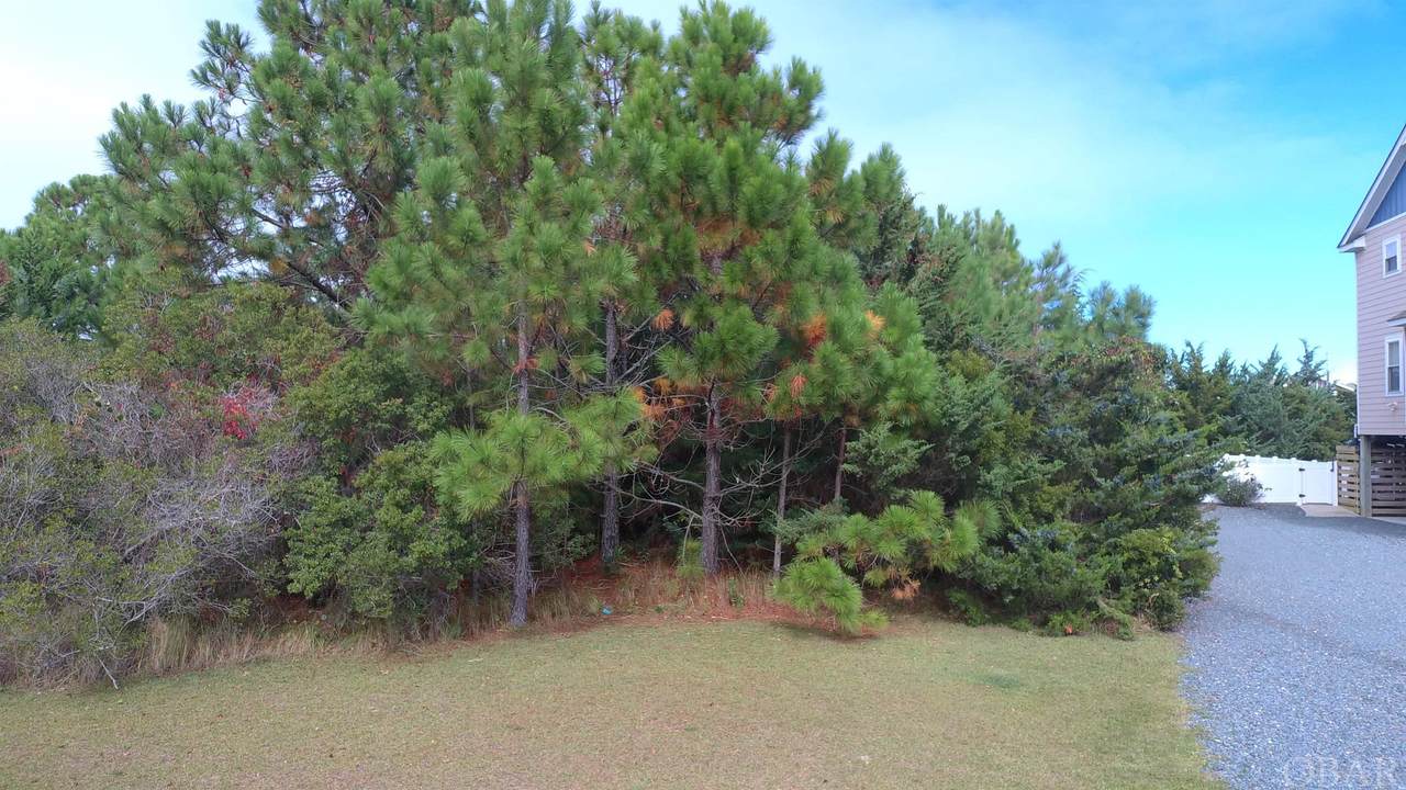 Bluebeard Road - Photo 1