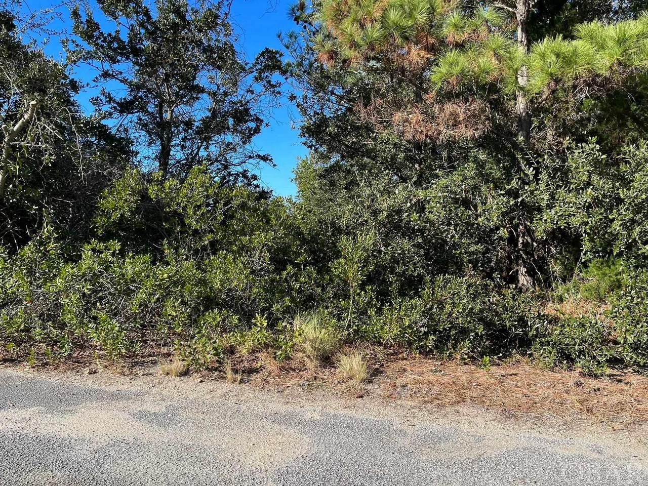 306 Oak Run - Photo 1