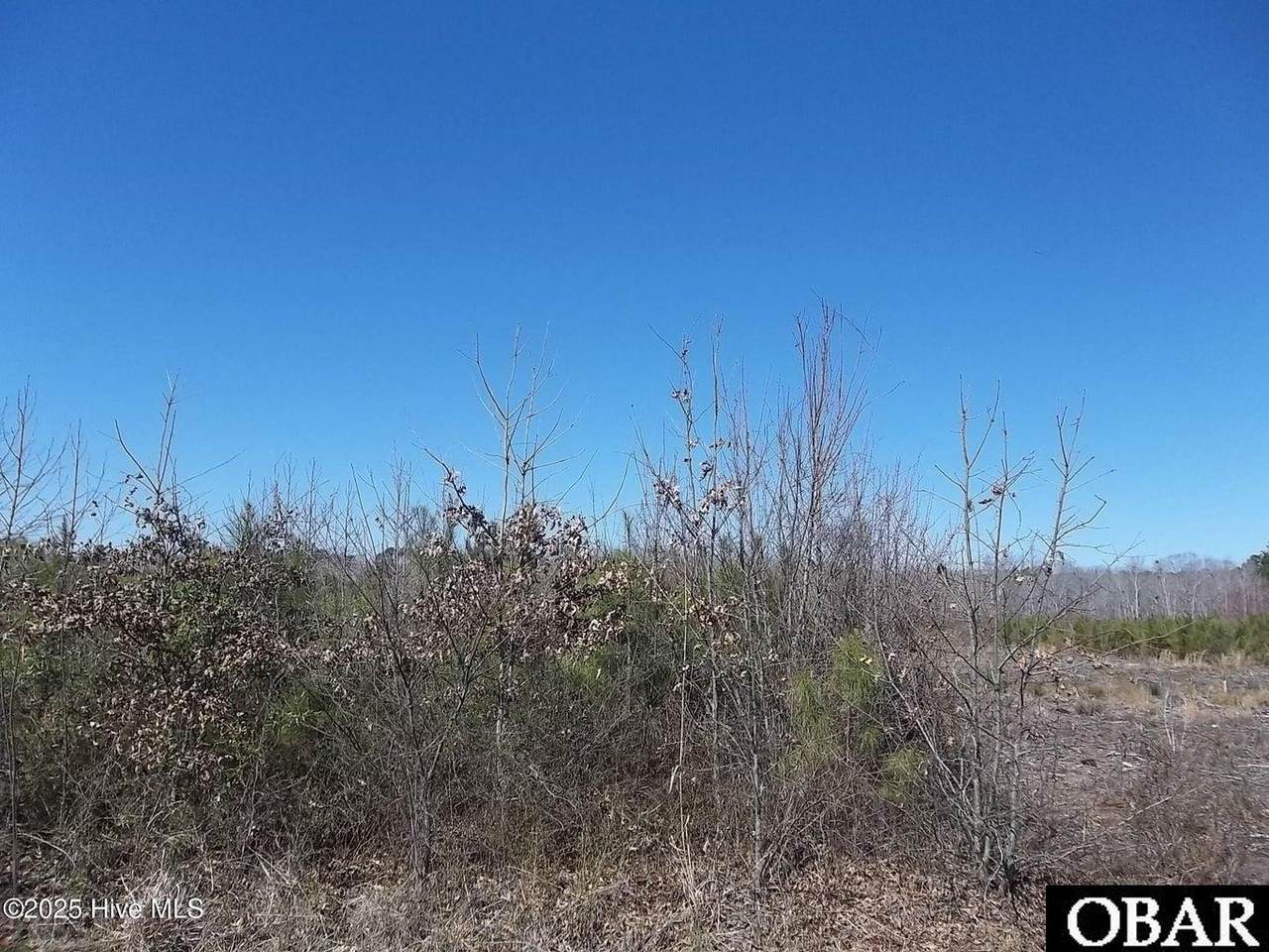 TBD Boat Ramp Road - Photo 1