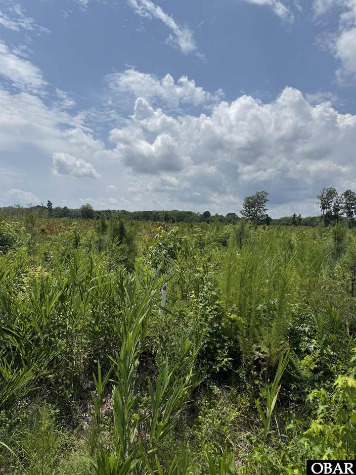 TBD Cove Road - Photo 1