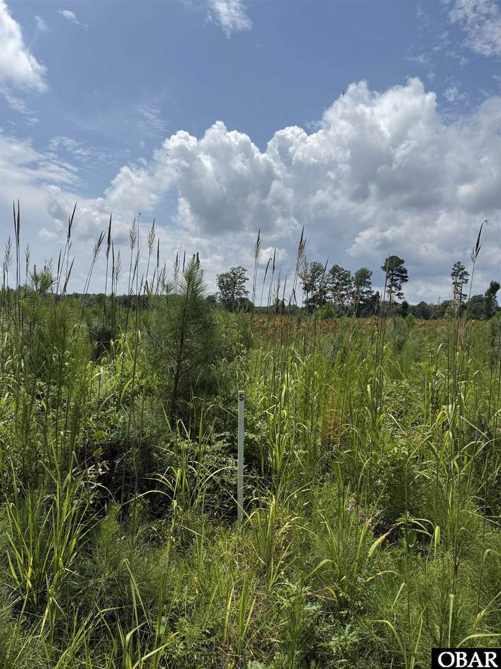 TBD Cove Road - Photo 1