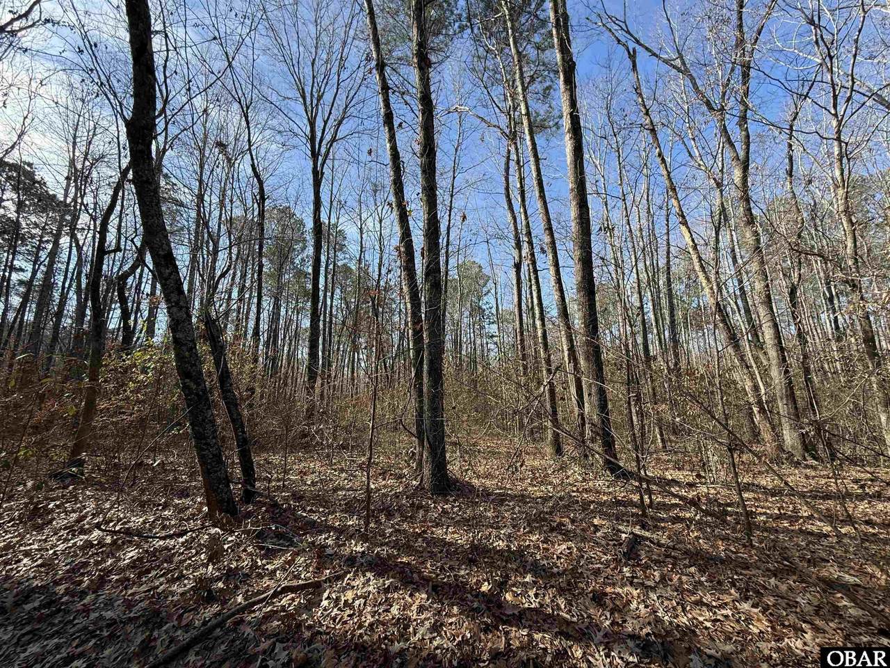 0 Mallard Drive - Photo 1