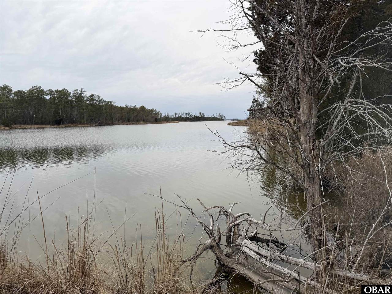 12 Sessoms Drive - Photo 1