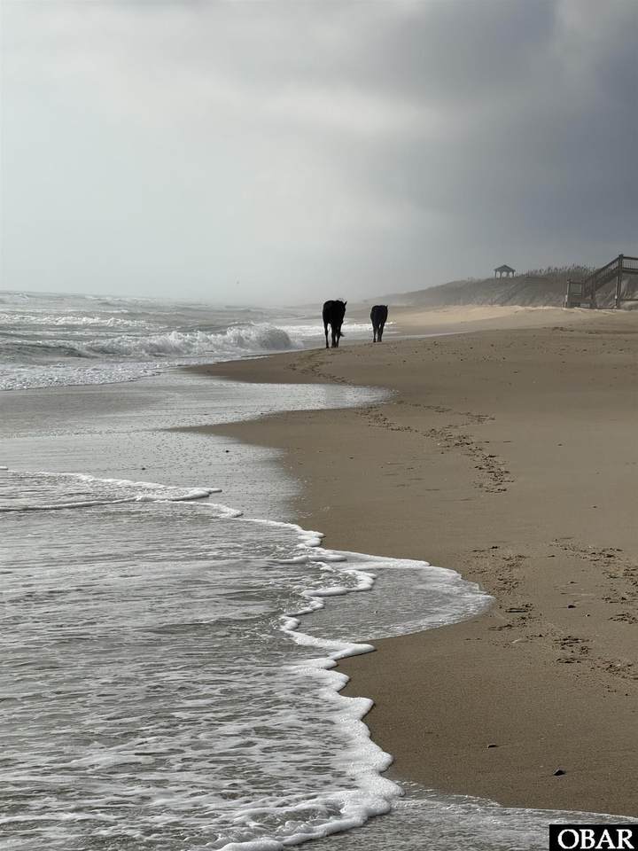https://bt-photos.global.ssl.fastly.net/obxmls/1280_boomver_1_133307-1.jpg