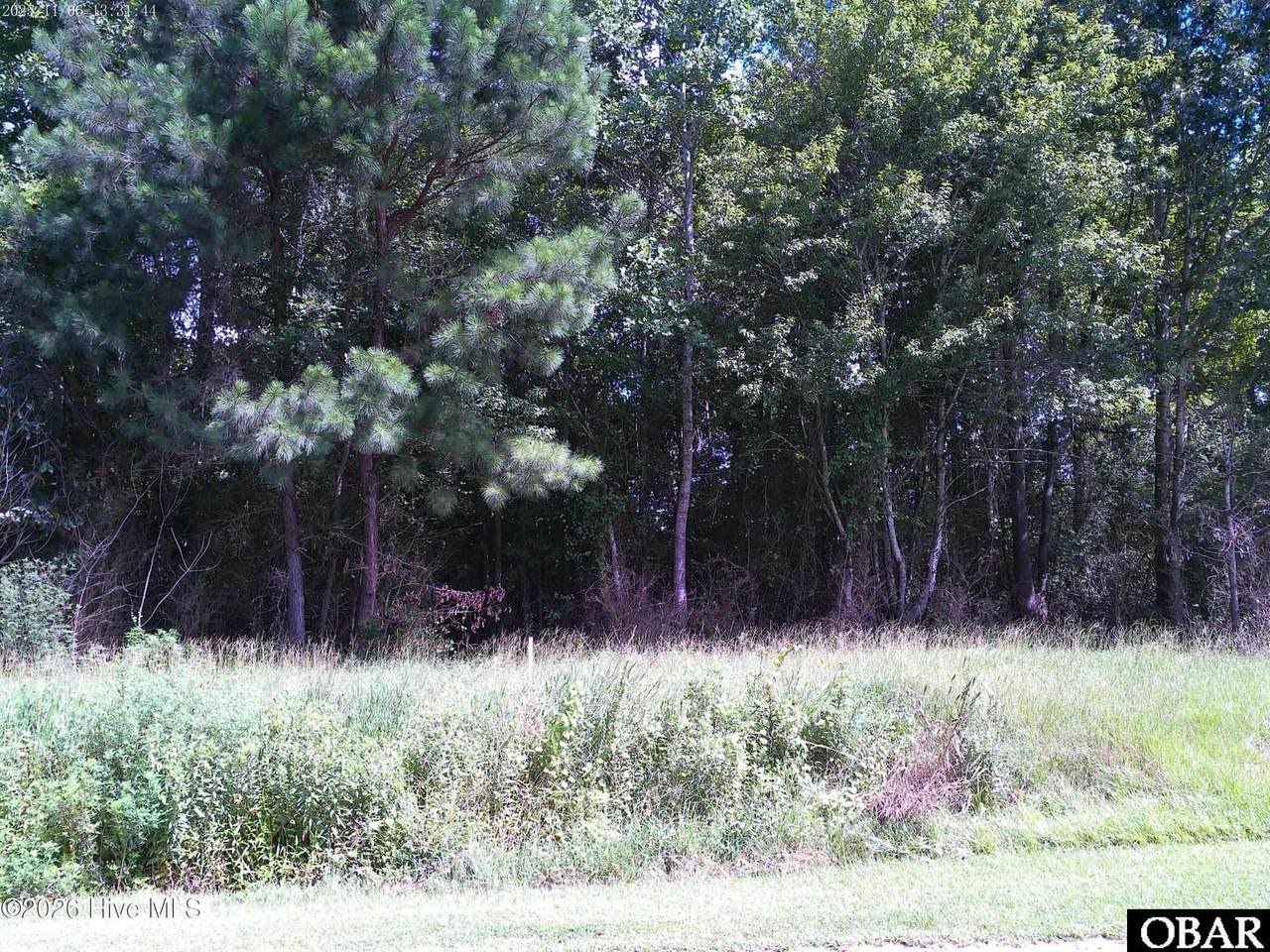 TBD Haywood Smith Road - Photo 1