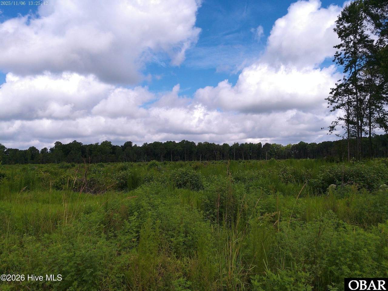 TBD Haywood Smith Road - Photo 1
