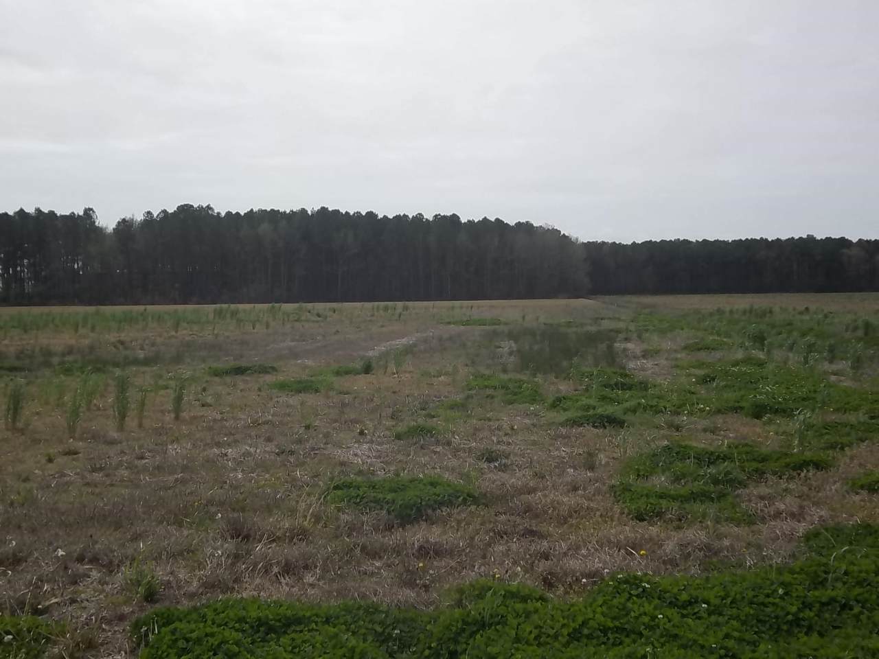 1000 Griff Lane - Photo 1