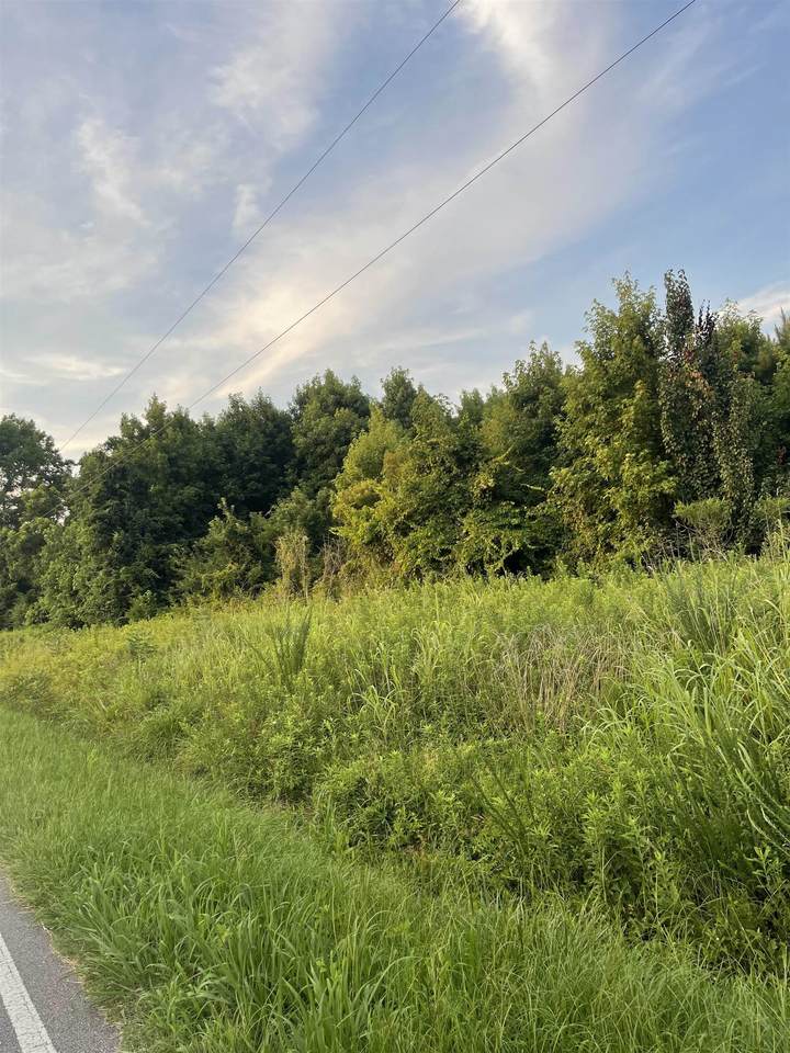 115 Grandy Road - Photo 1