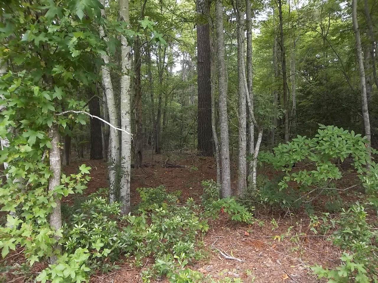 TBD North River Landing Road - Photo 1