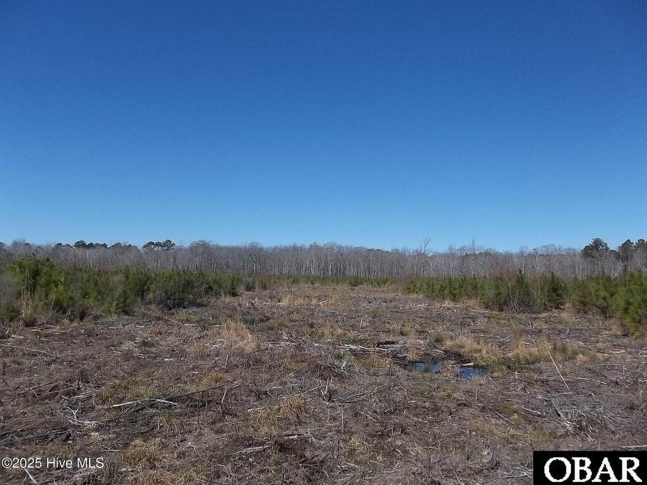 TBD Boat Ramp Road - Photo 1