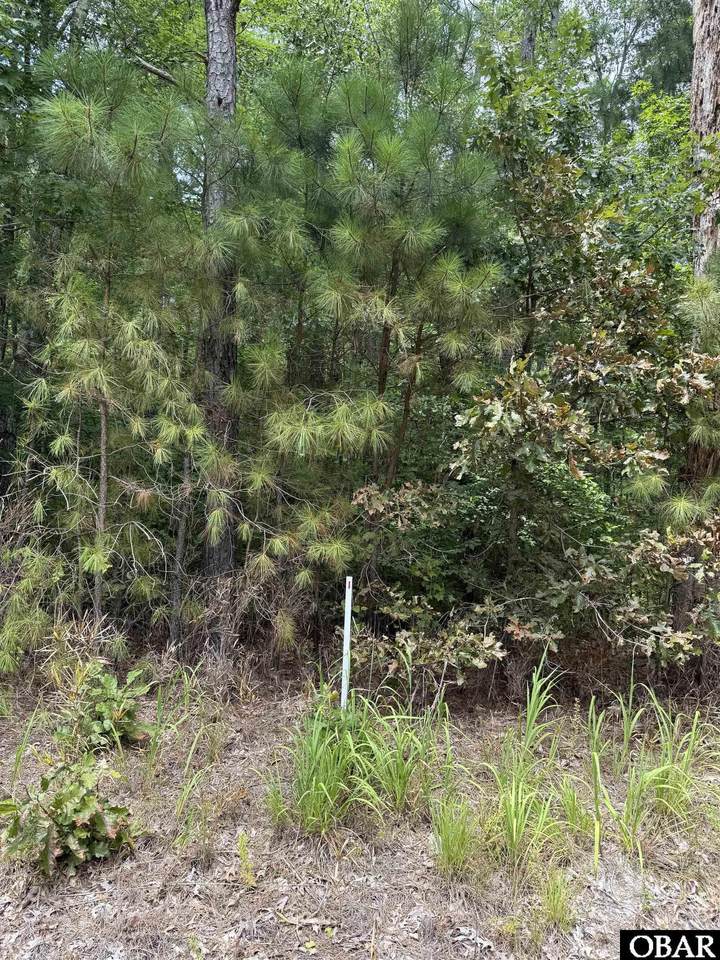 TBD Boat Ramp Road - Photo 1