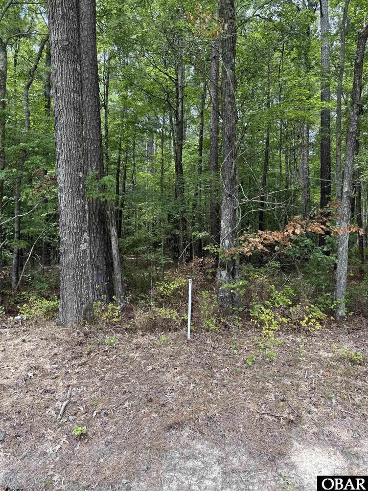 TBD Boat Ramp Road - Photo 1