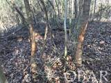  Mallard Drive - Photo 4