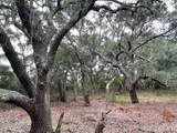  Hilltop Road - Photo 13
